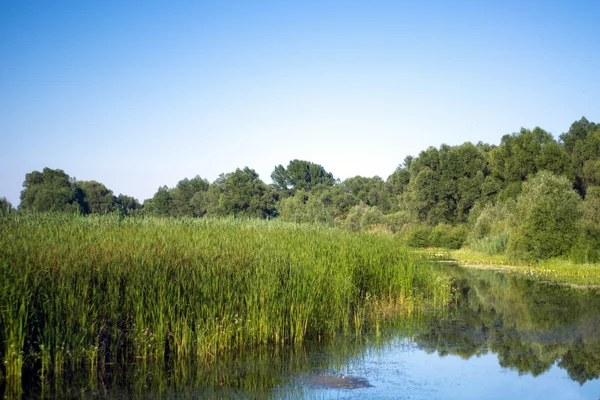 Stock image Beautiful picturesque lake at sunny summer day