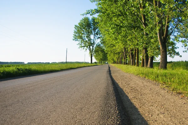 Straight empty road in afternoon at rural landscape — Stock Photo, Image