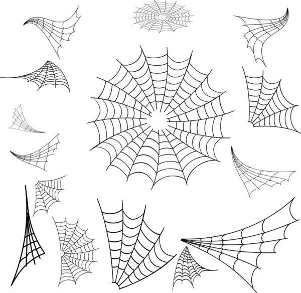 Araña web — Vector de stock