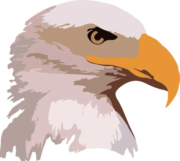 Águila en vuelo — Vector de stock
