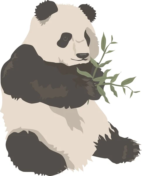 Grande panda — Vettoriale Stock