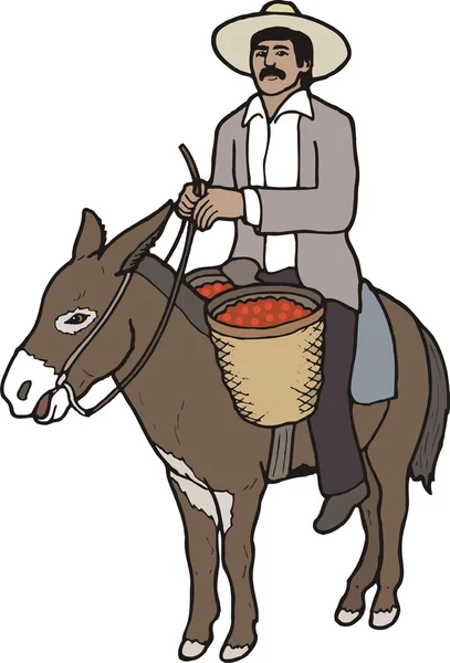 Man on a donkey — Stock Vector