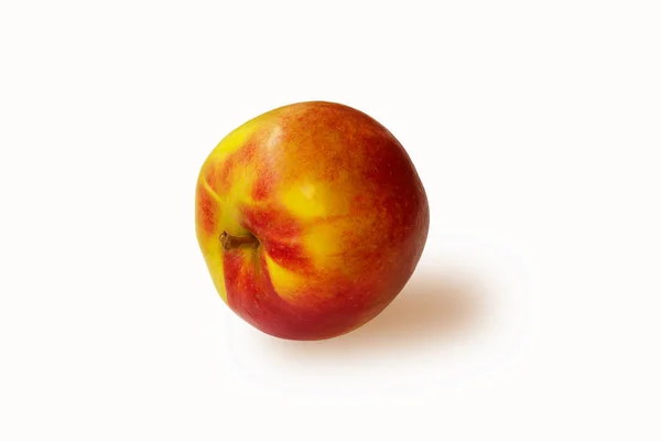 แอปเปิลสุก — ภาพถ่ายสต็อก
