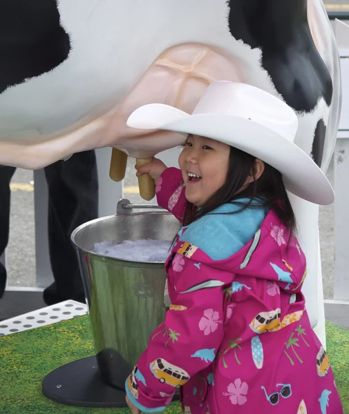 Having Fun Milking a Cow — Stock Photo, Image