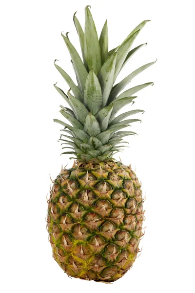 Ripe pineapple isolated on white background — Stock Photo, Image
