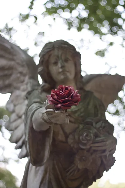 Engel schenkt Rose mit Liebe — Stockfoto