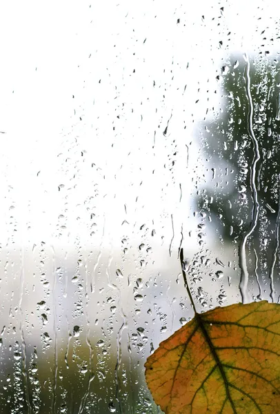 Otoño gotas de agua de lluvia vidrio fondo abstracto —  Fotos de Stock