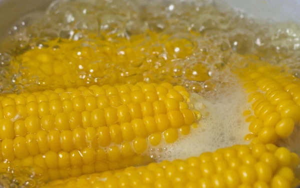 Gekookte maïs en kokend water — Stockfoto