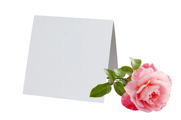 Červená růžová růže a prázdná karta Pozvánka izolované — Stock fotografie