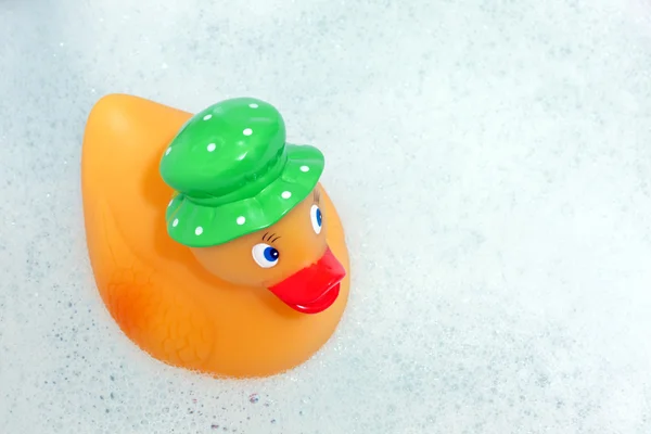 Pato no banho — Fotografia de Stock
