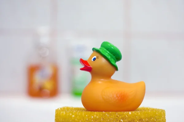 Pato no banho — Fotografia de Stock