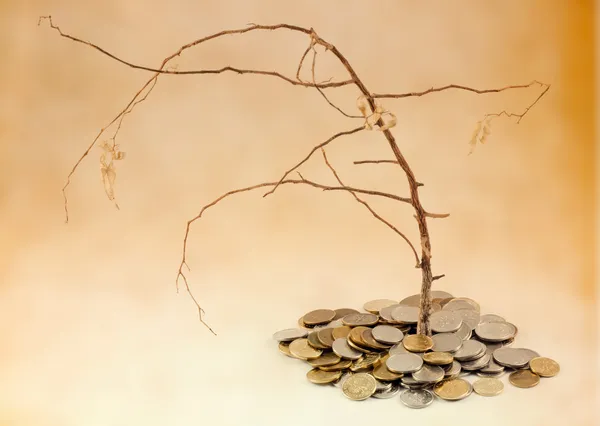 Slechte investeringen en verdorde boom met geld — Stockfoto