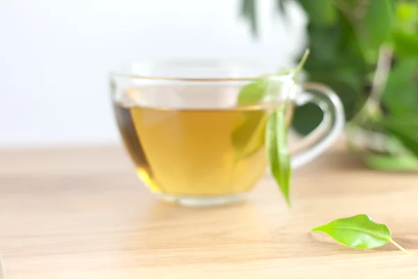 Groene thee en bladeren — Stockfoto
