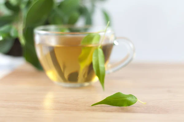 Grüner Tee und Blätter — Stockfoto