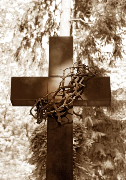 Old cross and thorns at cemetery — Stock Photo, Image