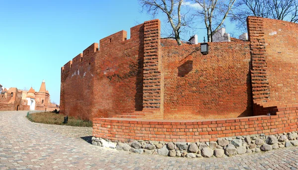 Stěna pozadí panorama zámku ve Varšavě — Stock fotografie