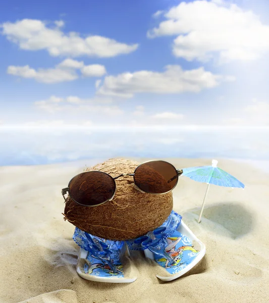 Coco en la playa con gafas y sandalias concepto divertido — Foto de Stock