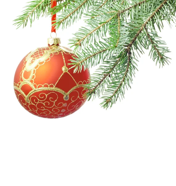 Christmas kırmızı lüks topu izole ve ağaç dalı — Stok fotoğraf