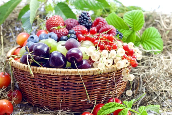 Assortment of fresh berries and fruits background — Stock Photo, Image