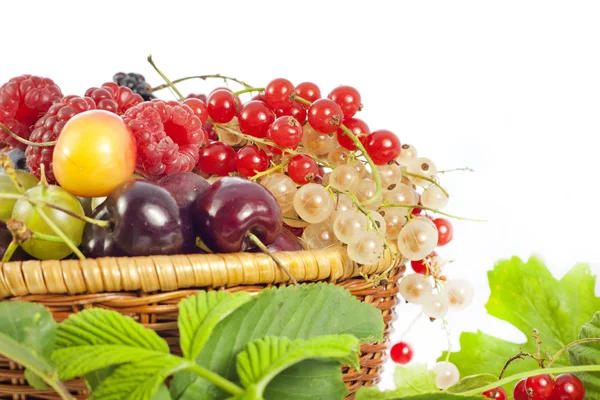Auswahl an frischen Beeren und Früchten Hintergrund — Stockfoto