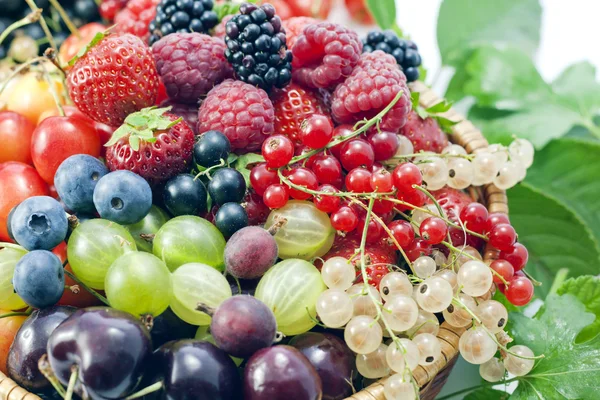 Auswahl an frischen Beeren und Früchten Hintergrund — Stockfoto