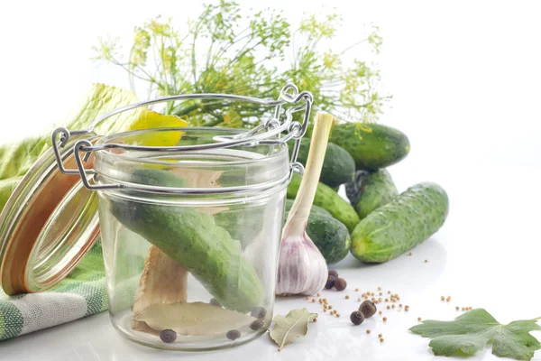 Pickled cucumbers with dill garlic and spices — Stock Photo, Image
