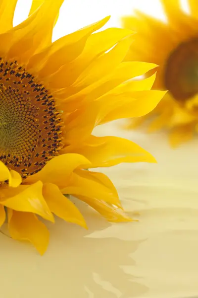 向日葵与现浇油和黄色花概念 — 图库照片
