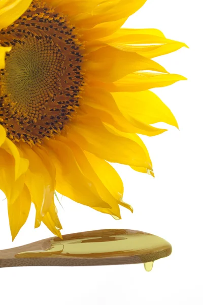 Girasol con aceite de vertido y el concepto de flor amarilla — Foto de Stock