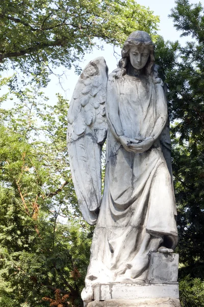 Scultura antica di angelo sul cimitero — Foto Stock