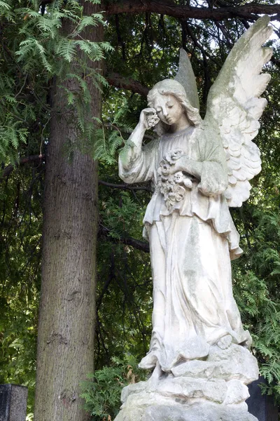 Древняя скульптура ангела на кладбище — стоковое фото