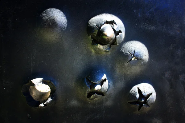 Vieille plaque perforante en fer grunge en métal avec des balles — Photo