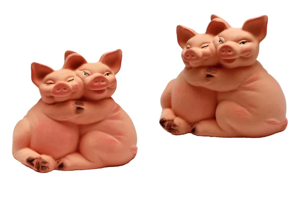 Два свиней — стокове фото