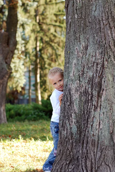 เด็กซ่อนอยู่หลังต้นไม้ในสวนฤดูร้อน — ภาพถ่ายสต็อก