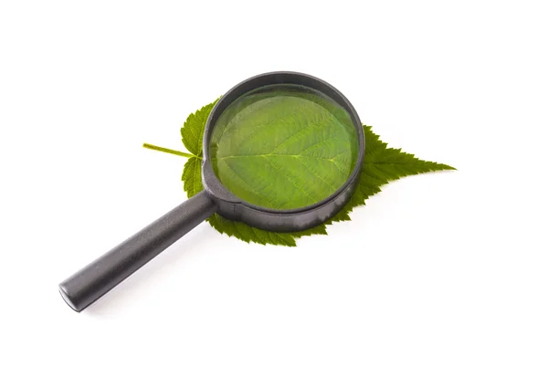 stock image Magnifying glass on a sheet