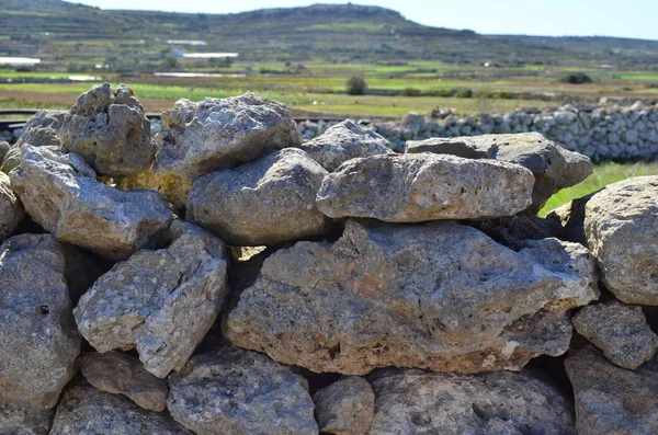 Spillrorna vägg i den maltse landsbygden — Stockfoto