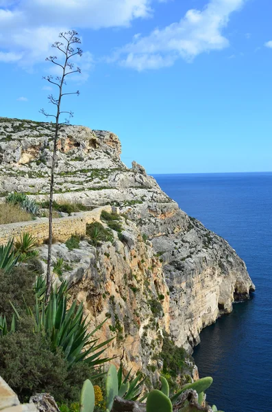 Falésias em Malta — Fotografia de Stock