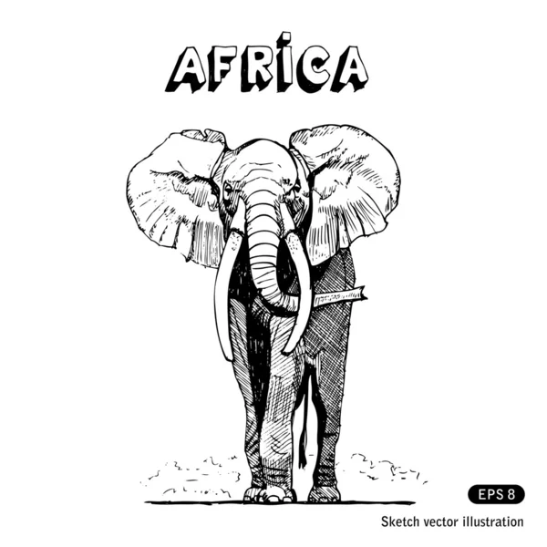 Gajah afrika di savana - Stok Vektor