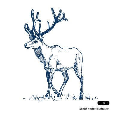 Deer clipart