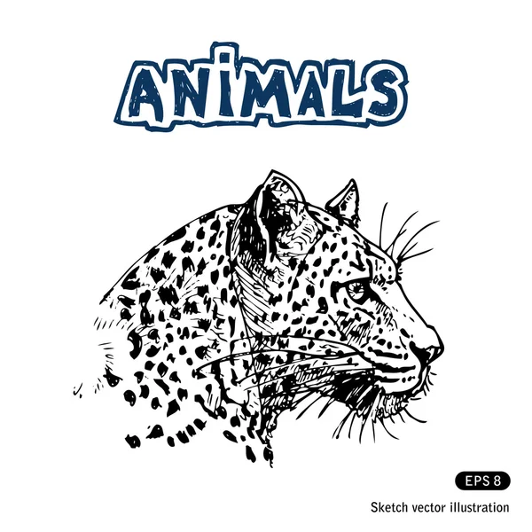 Jaguar ! — Image vectorielle