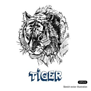 Tiger clipart