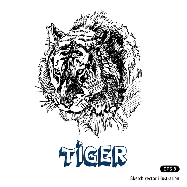 Tiger — Stockvektor