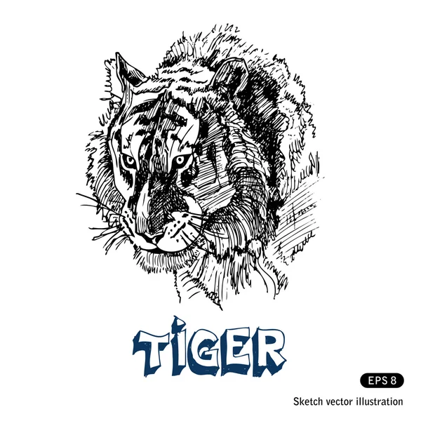 stock vector Tiger