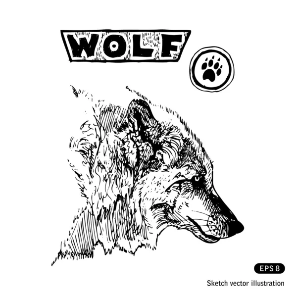Vlk — Stockový vektor