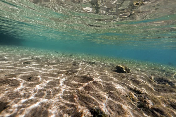 Тропические воды Красного моря — стоковое фото