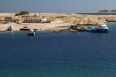 küçük liman RAS mohammed national park