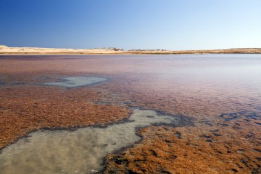 Tuz Gölü RAS mohammed national park