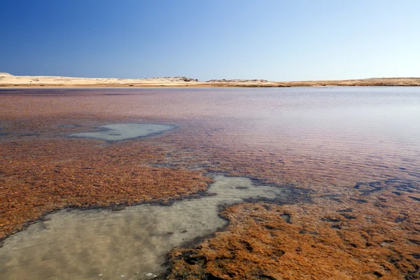 stock image Salt lake in Ras Mohammed National Park