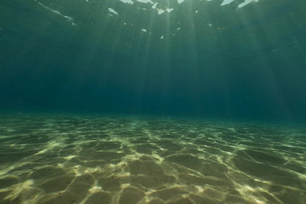 Tropické podmořský život v Rudém moři. — Stock fotografie