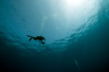 ve ocean Diver fotoğrafçı