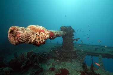 Weapons of the Thistlegorm wreck. clipart